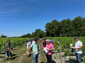 Journée VistaPro au Château Larrivet Haut-Brion Journée VistaPro au Château Larrivet Haut-Brion