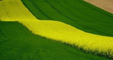 Solutions et services pour les agriculteurs de la filière végétale en Nouvelle-Aquitaine et Occitanie