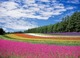 Innovations et nouvelles technologies au service des agriculteurs de la filière végétale en Nouvelle-Aquitaine et Occitanie Innovations et nouvelles technologies au service des agriculteurs de la filière végétale en Nouvelle-Aquitaine et Occitanie