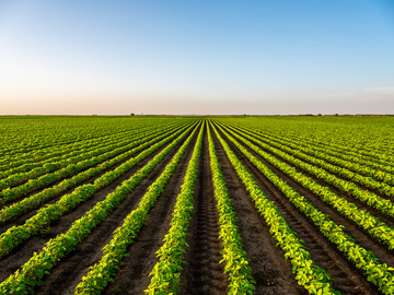 conseil et distribution d’agrofournitures en viticulture Gironde