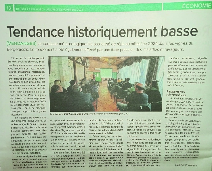 Vendanges 2024 : Tendance historiquement basse et météo