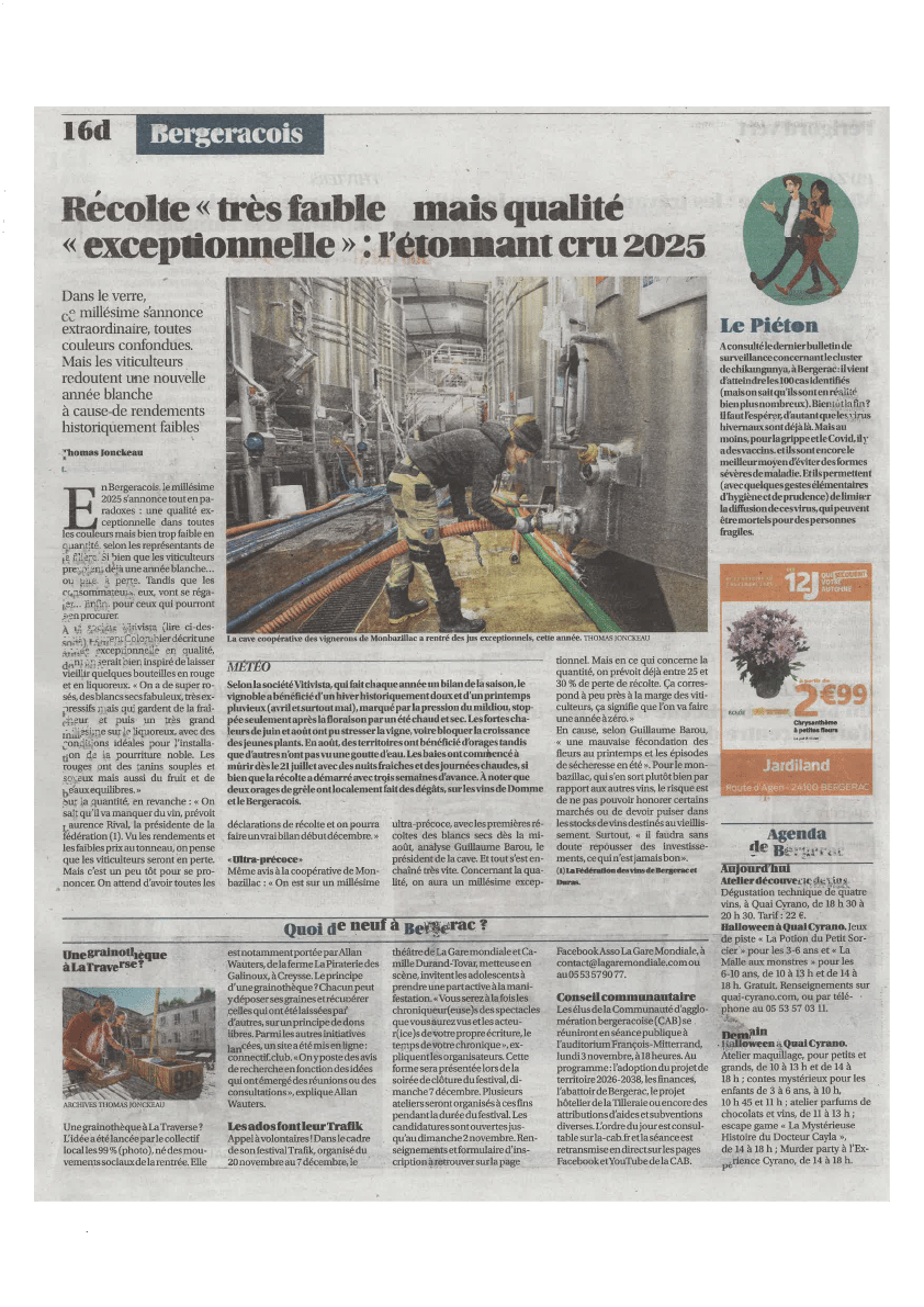 Récolte Bergerac 2025 : Faible Quantité, Qualité Exceptionnelle