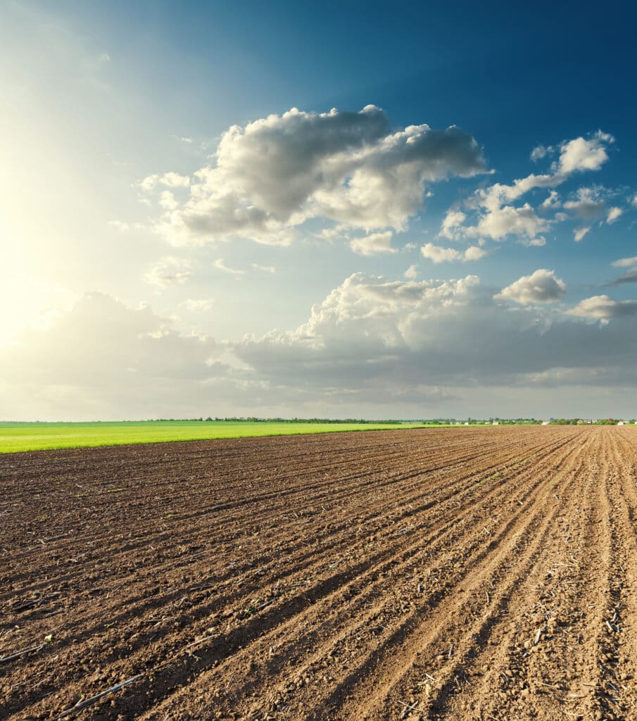 Champs Labourés Sous Ciel Nuageux au Coucher du Soleil Vaste champ labouré en sillons bruns sous un ciel dramatique avec soleil intense à gauche et nuages gris.