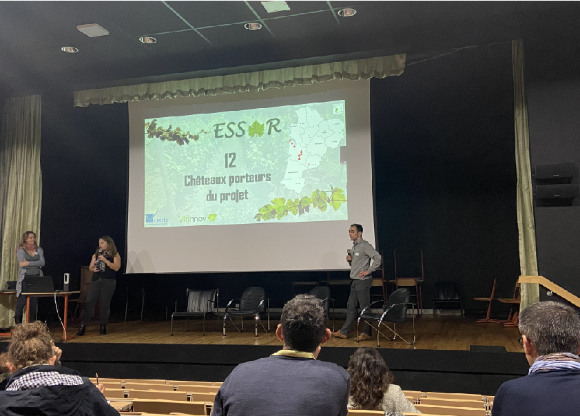 vitivista_essor